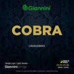 Encordoamento Para Cavaco GESCL Série Cobra Aço Leve GIANNINI Encordoamento Para Cavaco GESCL Série Cobra Aço Leve GIANNINI