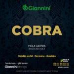 Encordoamento Para Viola GESVNL Série Cobra Aço Leve GIANNINI