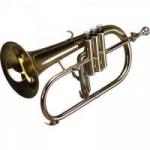 Flugelhorn Bb ARENA PAR2010 RMV Flugelhorn Bb ARENA PAR2010 RMV